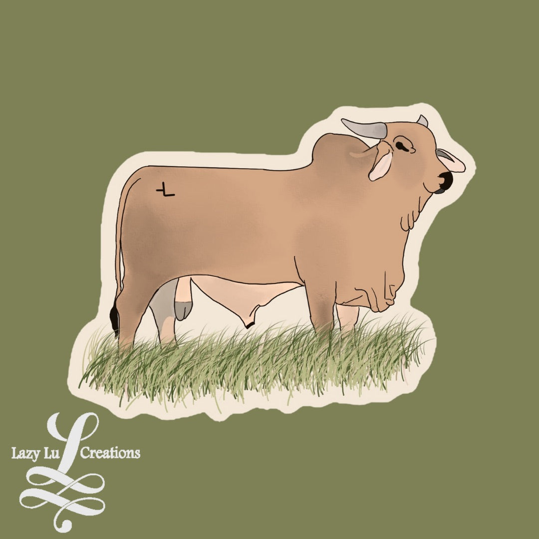 Brahman Bull Sticker